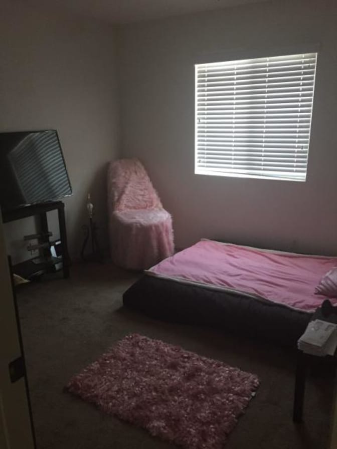 Photo of Nicolle's room