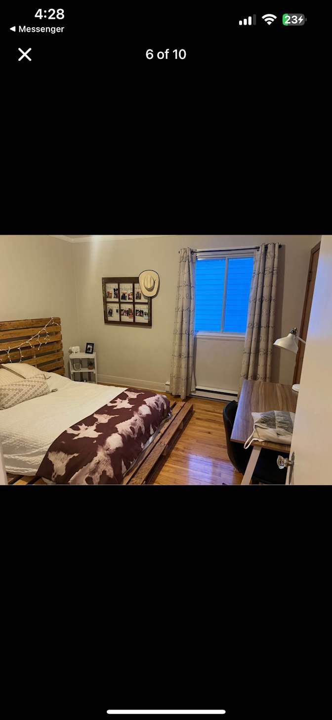 Yasmine El-Diwany's room