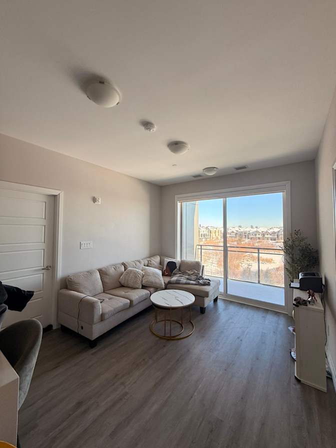 Aminchap Ricadela's room