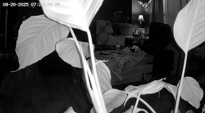 Tracy Robinson's room