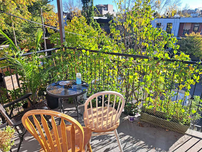 Photo of Hector Macdonald's room