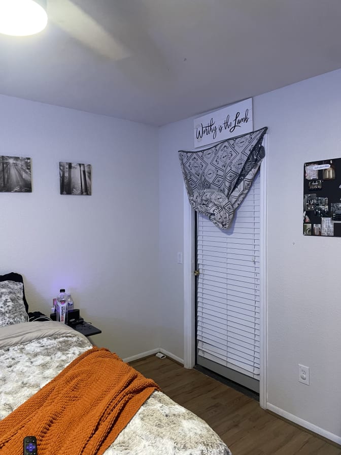 Photo of Zinnia's room