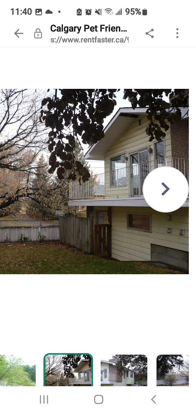 Photo of William's room