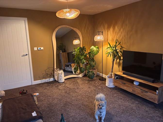Photo of Andrew's room