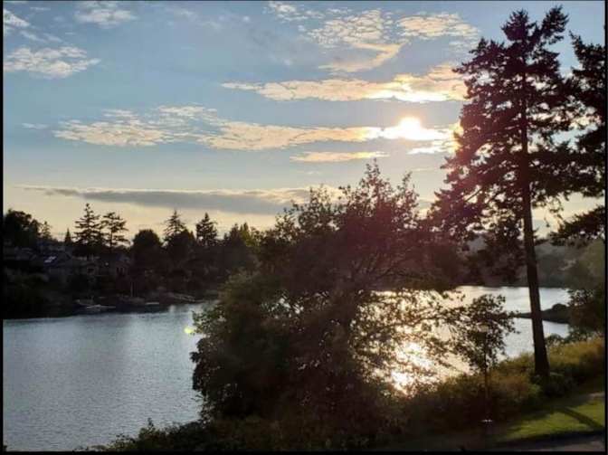 Arman Dadrass's room