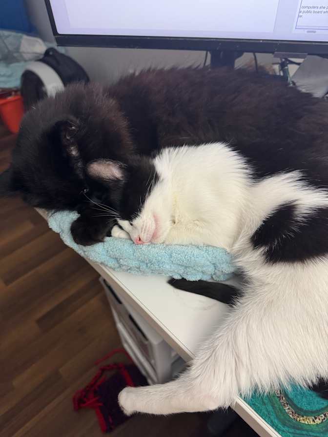 Photo of Evelyn's room