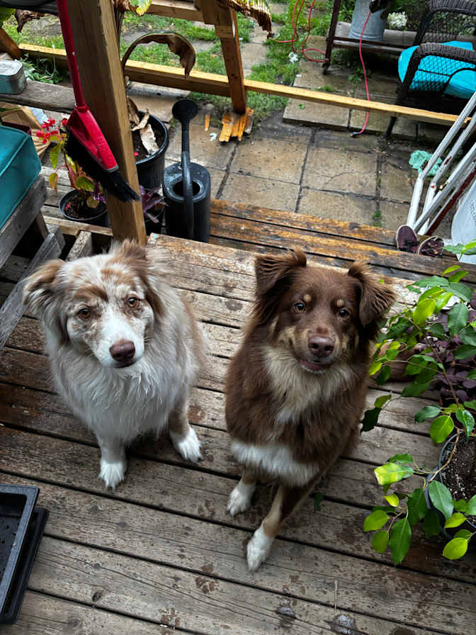 nathalia roman's room