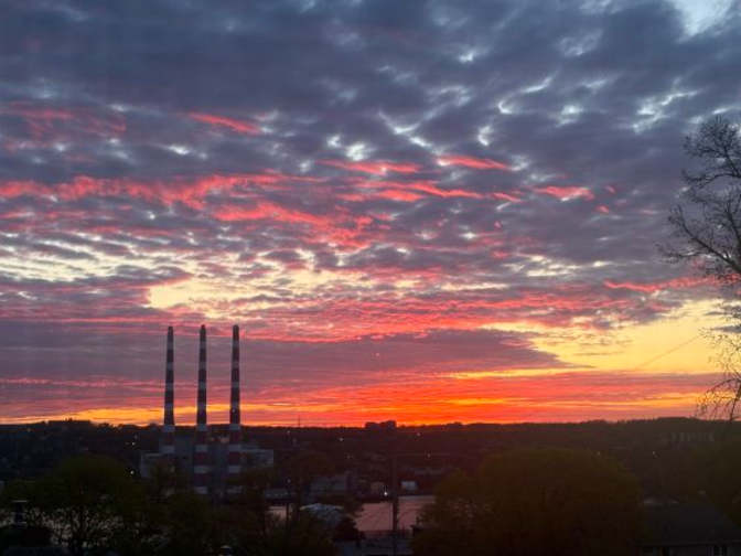 Please Contact's room