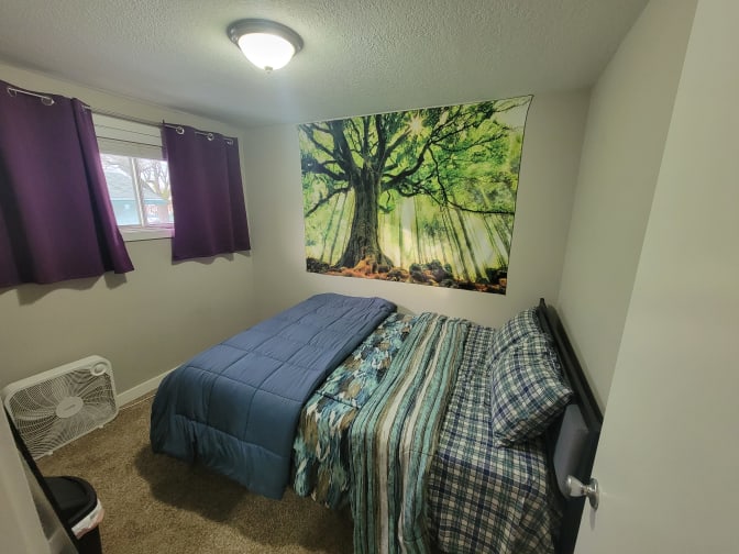 Photo of SHAT (pronounced Shot)'s room