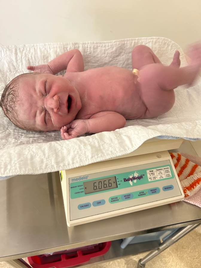 Lynne meloche's room