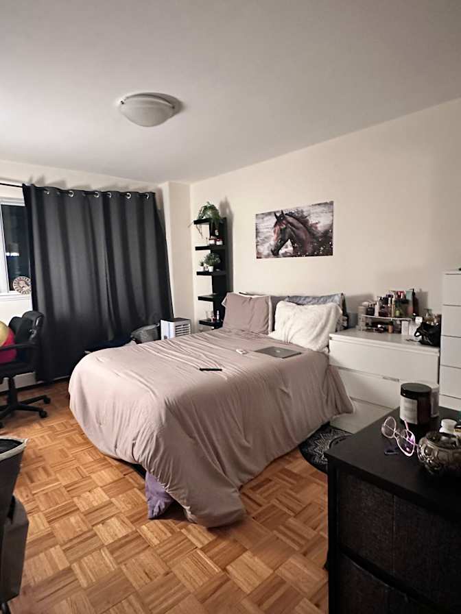 Photo of Mishmi's room