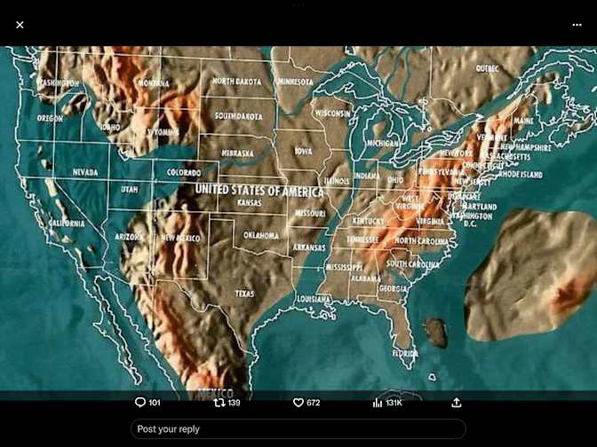 Lori Bongarzone's room