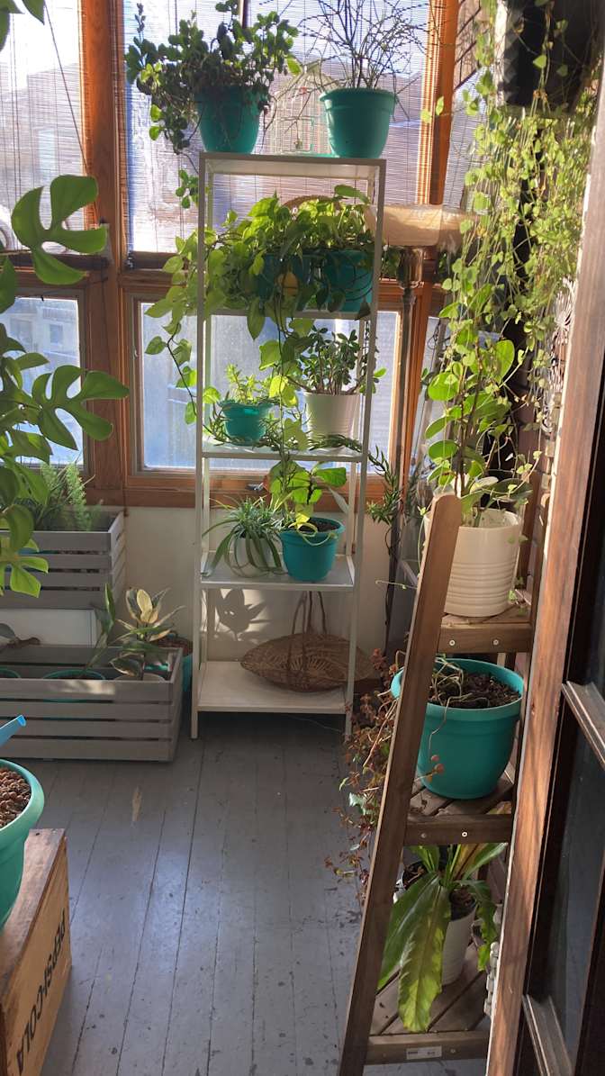 Photo of La's room