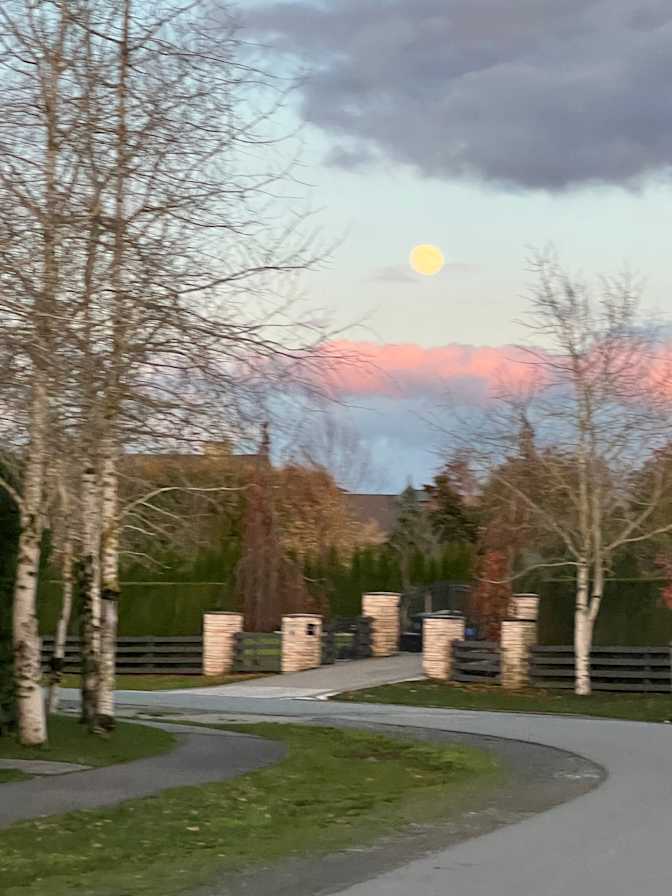 Kelley Chalmers's room