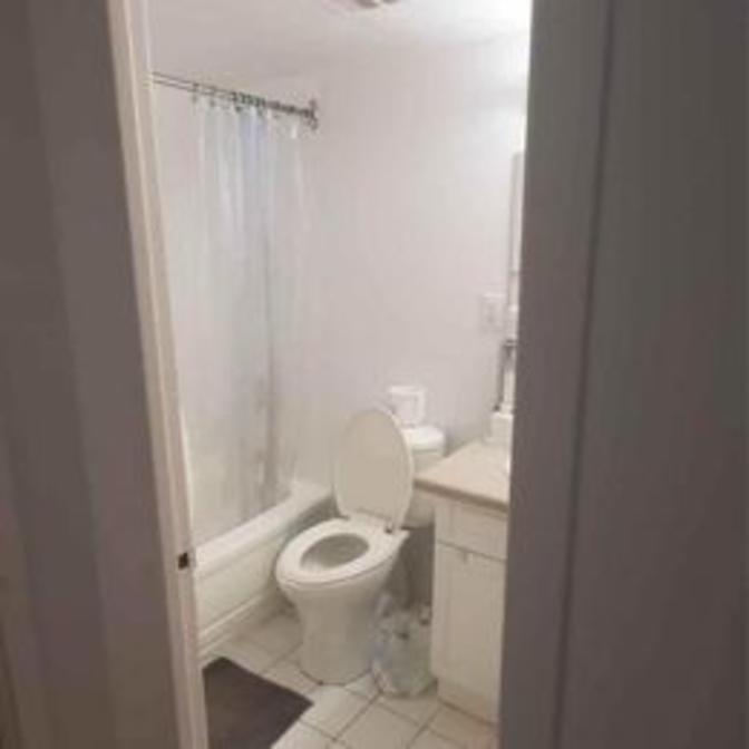 Photo of Priya Bansal's room