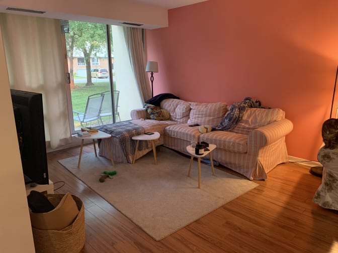 Tony and Eman's room