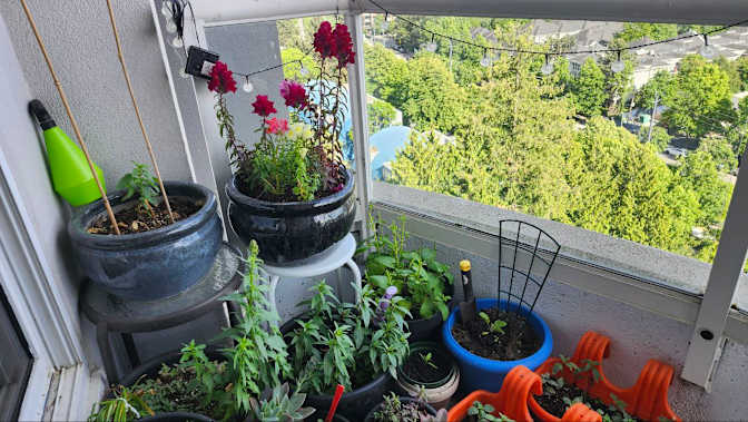 Photo of Mohsen's room