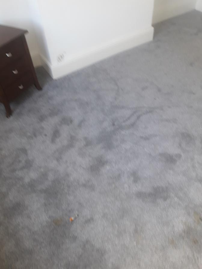 Photo of Christopher's room