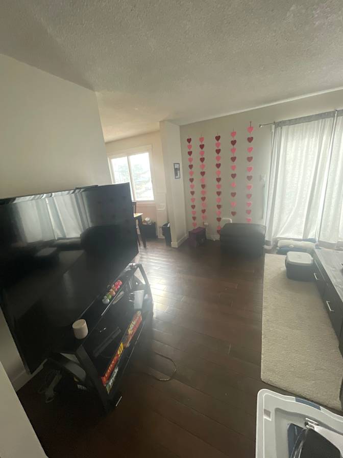 Photo of Erika's room