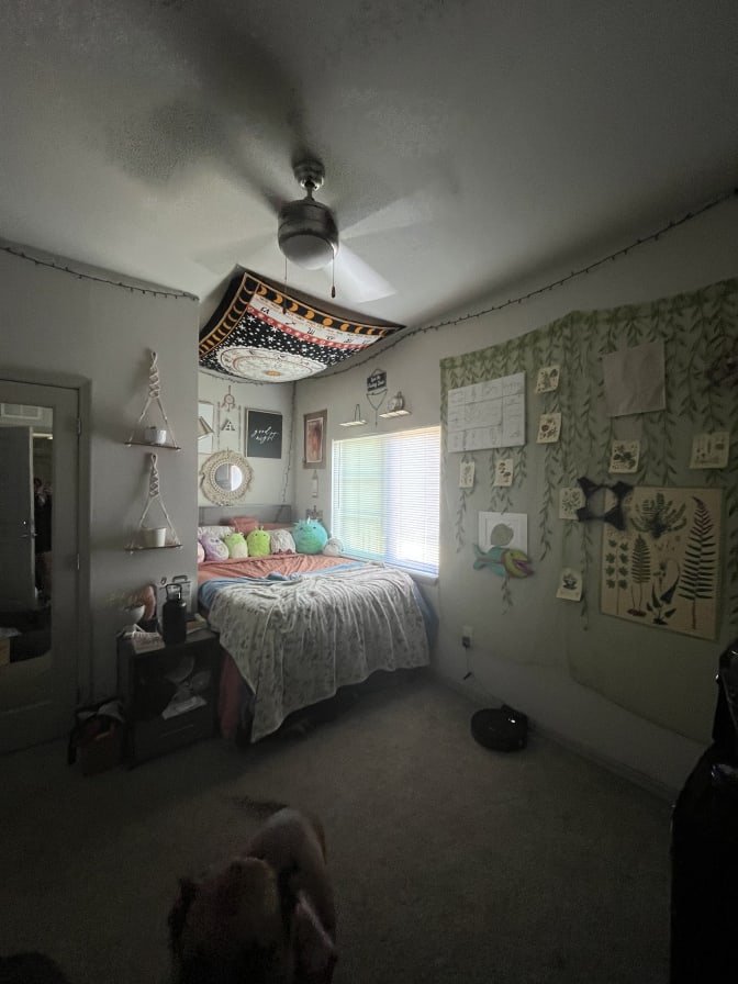 Photo of Susy's room