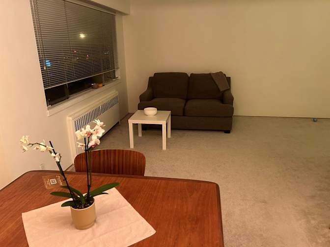 Jelena Simovic's room