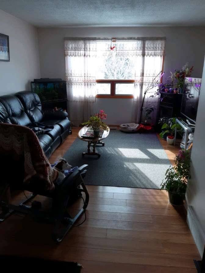 Photo of Margie's room