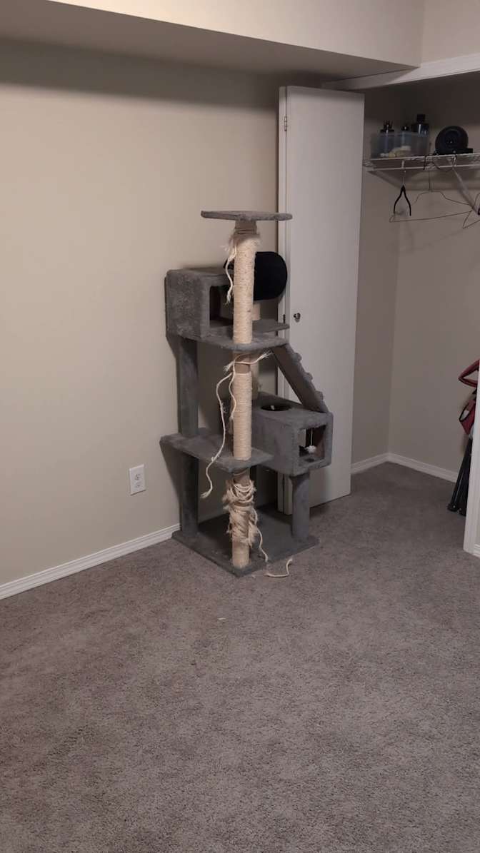 Photo of Ryan Baron's room