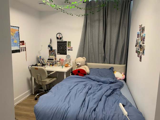 Anvita Reddy Ala's room