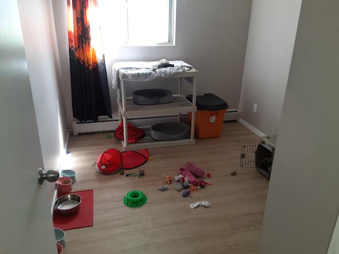 Photo of Shawn lefort's room