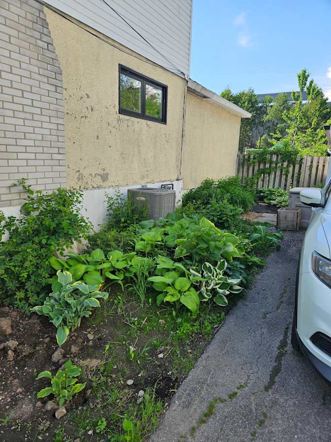 Photo of PHIL's room