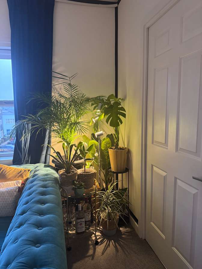 Photo of Sep's room