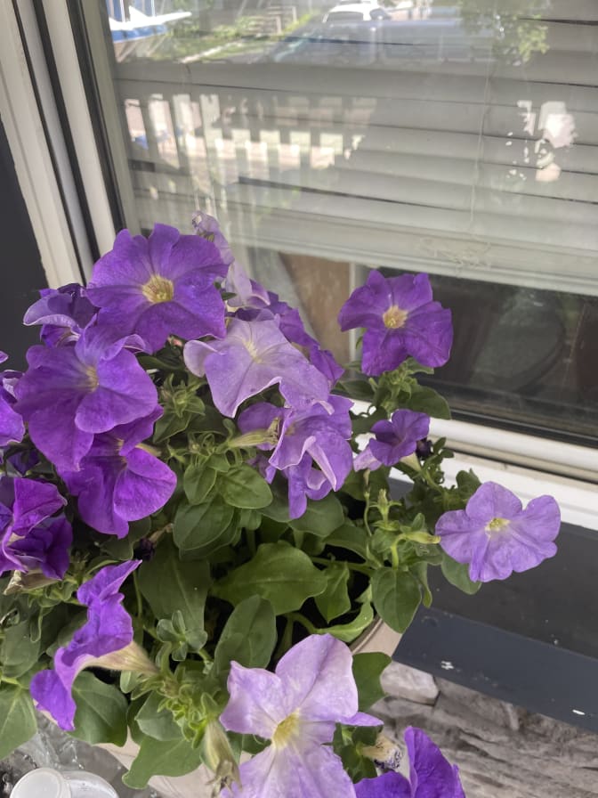 Photo of Adam's room