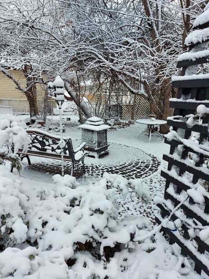 Ryschell Dragunov's room