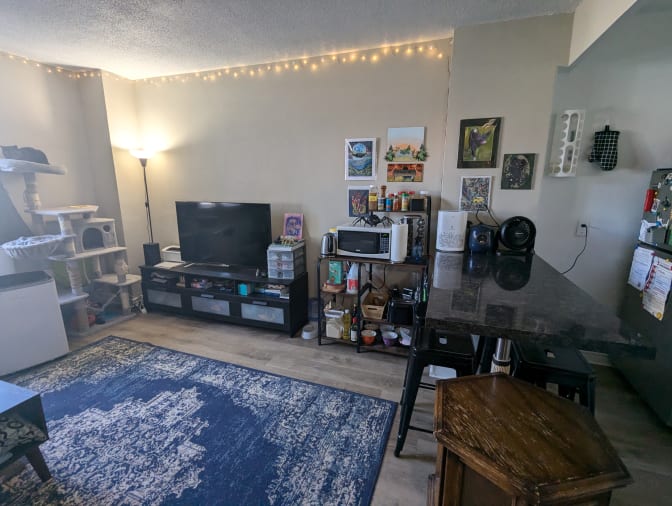 Photo of Mik's room