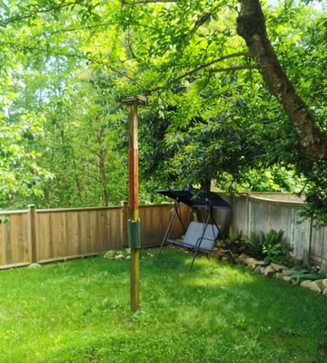 Photo of Lance's room