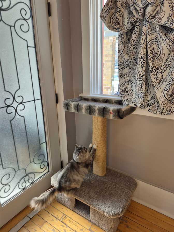 Photo of Victoria's room