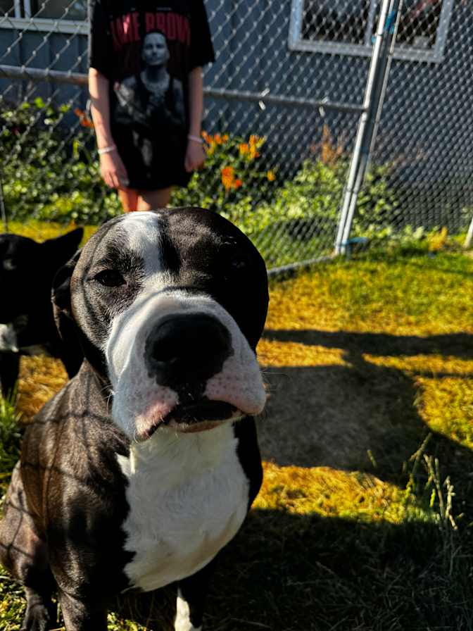 Private room to rent in share house Spokane, Washin...