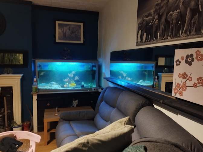 Photo of Mr Stephen Gammon's room