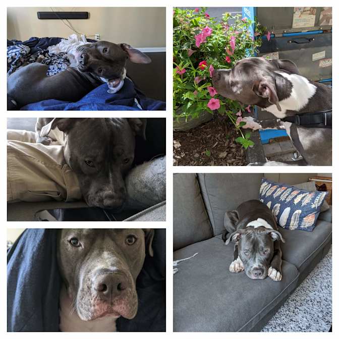 Srishti Bandopadhaya's room