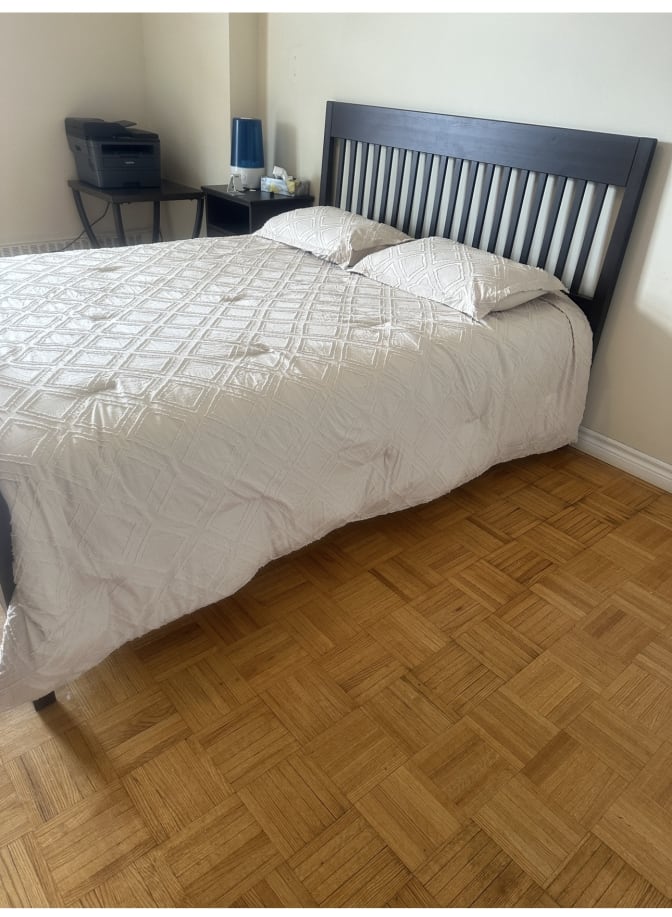 marjan shaker's room