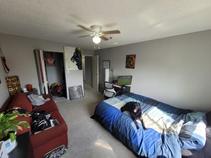 Photo of Zack's room