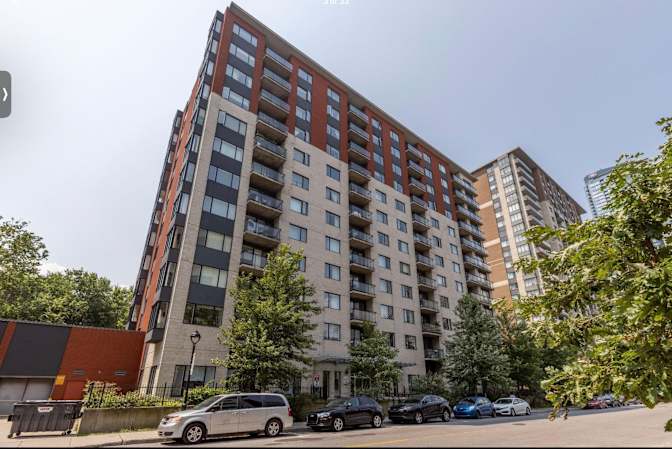 Anika Bahadur's room