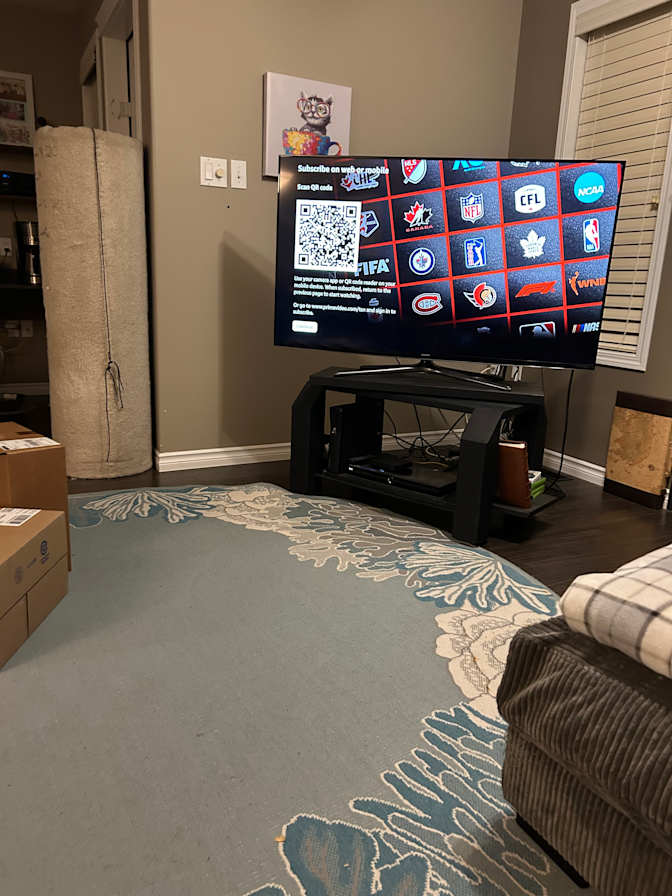 Michael Parkes's room