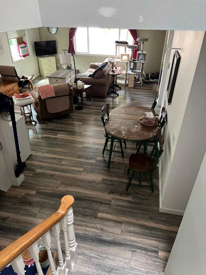 Anne Harrison's room