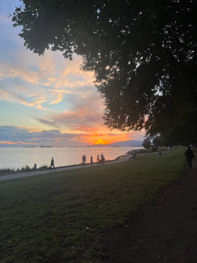 Amelia Kobzar's room