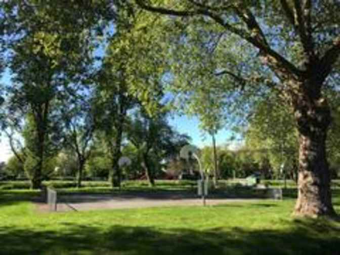 Photo of Parker's room