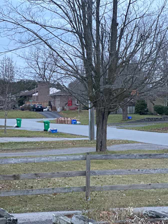 Tanya Patrick's room