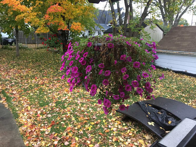 Photo of Kevin's room