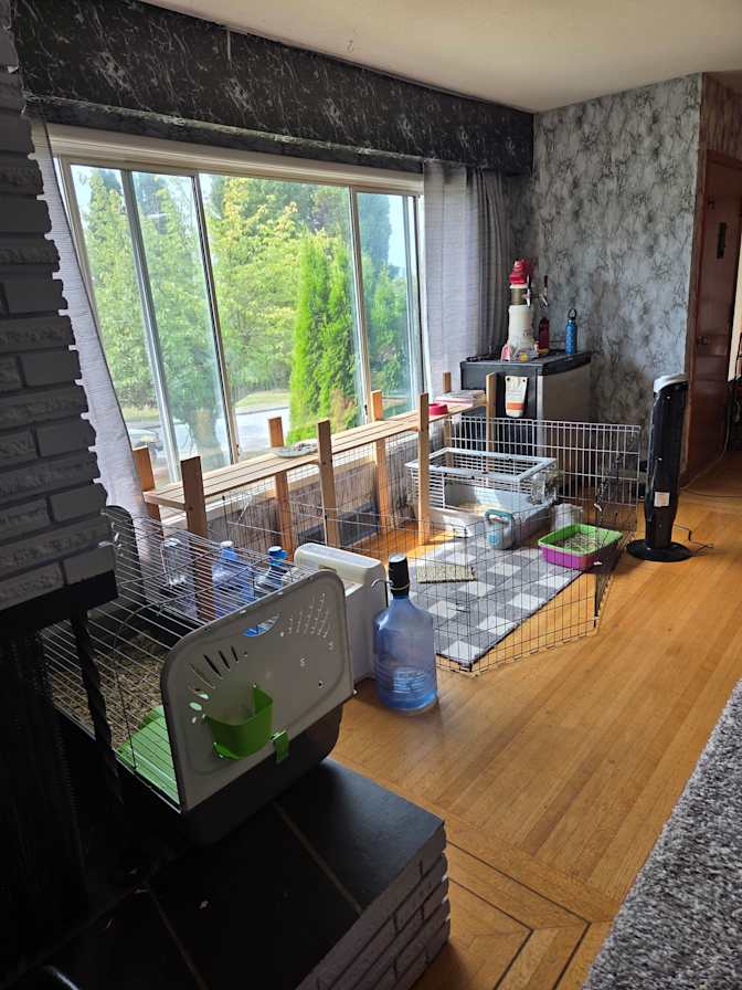 Photo of Sebastian's room