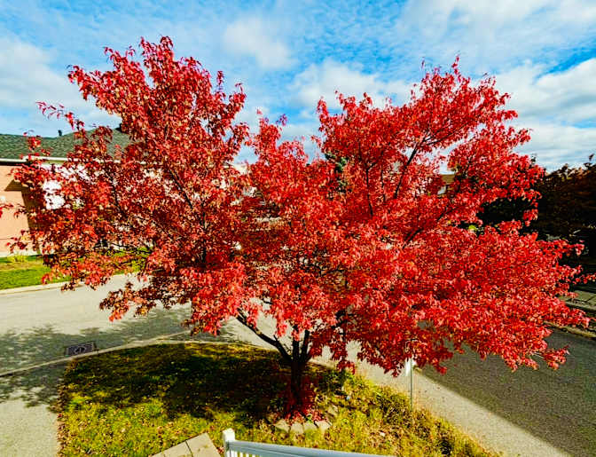 Photo of Andre's room
